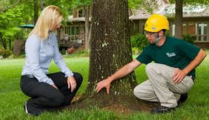 Image for Tree Care Crew with ID of: 1708779