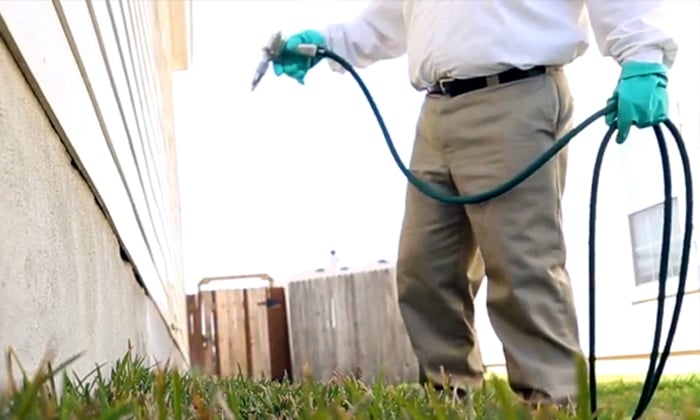 Image for Bulwark Exterminators with ID of: 1709767