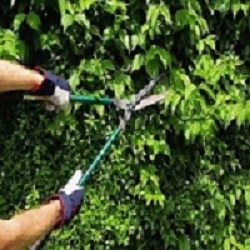 Image for Middlesex Lawn & Landscaping LLC with ID of: 1710945