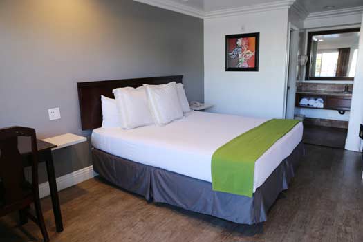 Image for Get the Best Environment and Rooms at Cassia Hotels San Diego with ID of: 1711133
