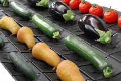 Image for Global Fruit and Vegetable Processing Market to Expand at 7.9% CAGR by 2021 with ID of: 1711473