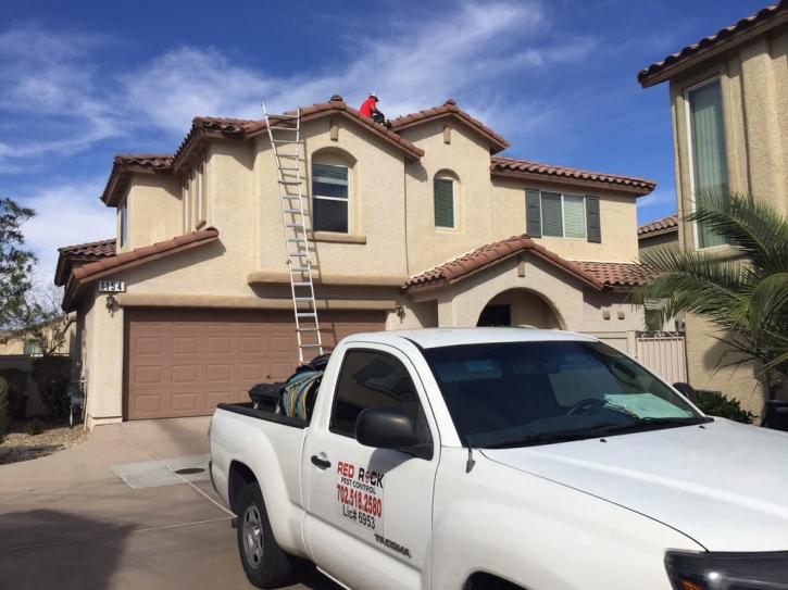 Image for Red Rock Pest Control with ID of: 1712208