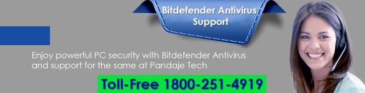 Image for World Class Technicians are Available for Bitdefender Antivirus Users with ID of: 1715599