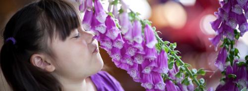 Image for Montessori School of Pleasanton with ID of: 1717835