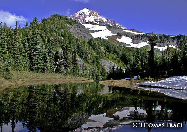 Image for Mt. Hood Real Estate with ID of: 1719369