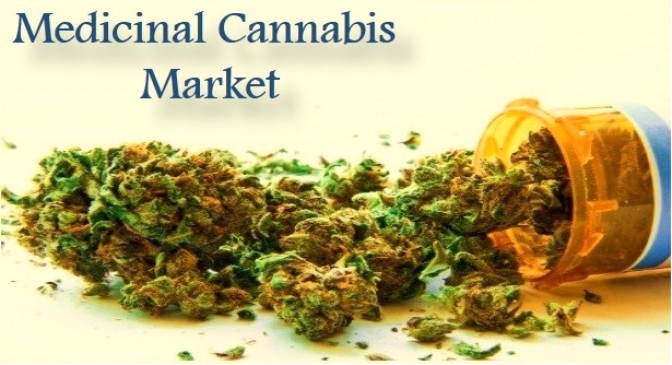 Image for https://www.coherentmarketinsights.com/ongoing-insight/medicinal-cannabis-market-40 with ID of: 1722624