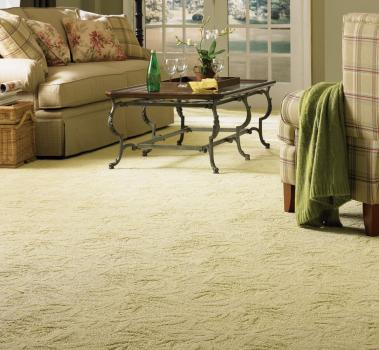 Image for Restoration Carpet Cleaning with ID of: 1723518