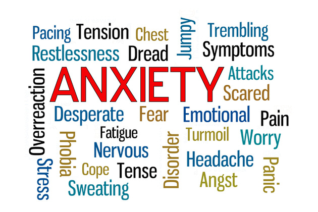 Image for Angus Munro Psychology with ID of: 1724502