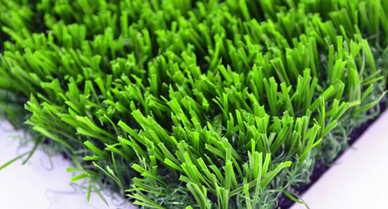 Image for limturf with ID of: 1725165