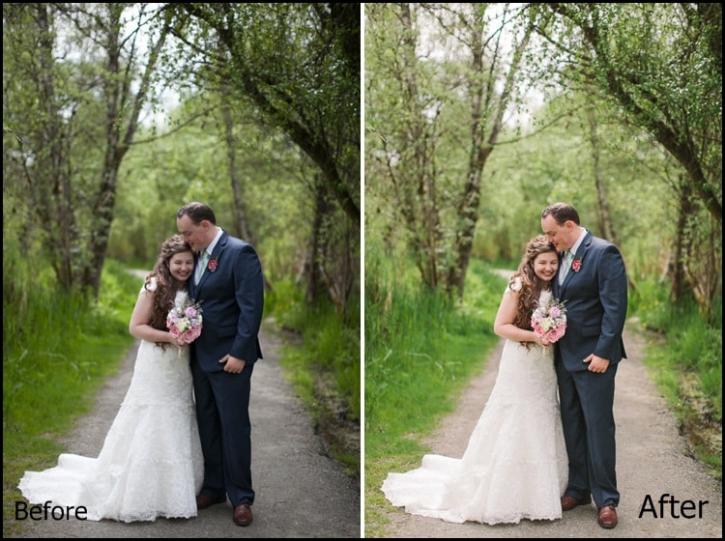 Image for Wedding Photo Editing Services for Image Professional Photographers with ID of: 1725930