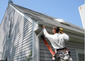Image for Raleigh Gutter Pros with ID of: 1727067