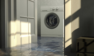 Image for Dry Ones Water Damage Restoration with ID of: 1727093