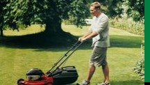 Image for Ed's Lawn Mowing with ID of: 1729505