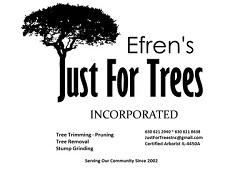 Image for Efren's Just For Trees, Inc. with ID of: 1729509