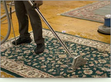Image for USA Green Clean with ID of: 1730290