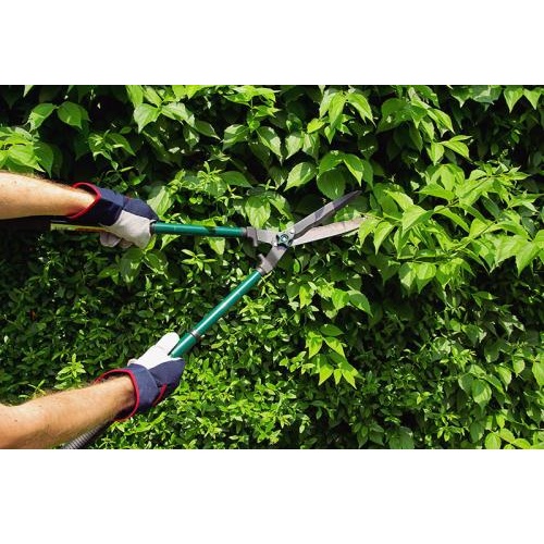 Image for GLC Property Maintenance Services with ID of: 1730500