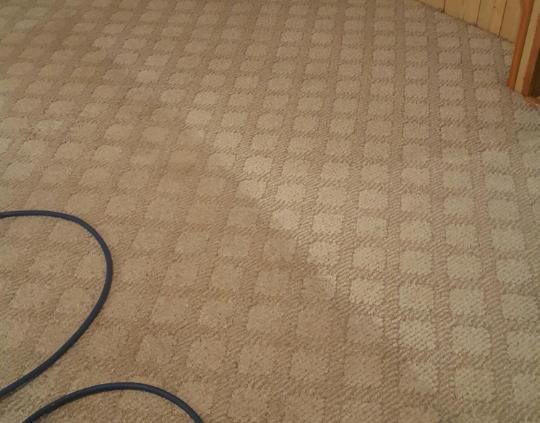 Image for Kennedy Carpet Care with ID of: 1732099