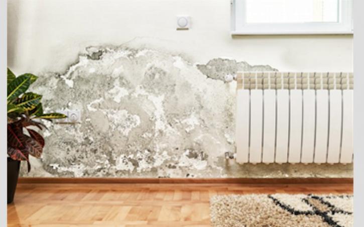 Image for Kennedy Carpet Care with ID of: 1732102