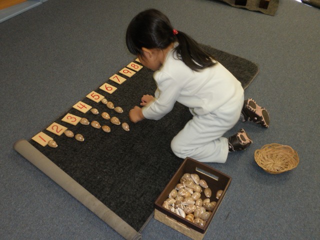 Image for Cottonwood Montessori with ID of: 1732153