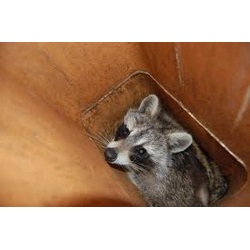 Image for JCS Home Services with ID of: 1732405