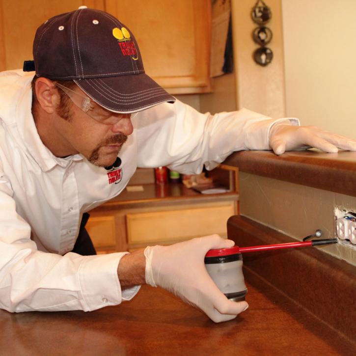 Image for Truly Nolen Pest & Termite Control with ID of: 1733195