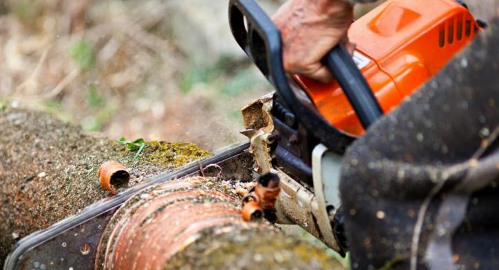 Image for Framingham Tree Pros with ID of: 1733272