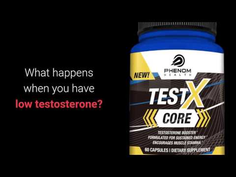 Image for Just how does TestX Core work? with ID of: 1733709