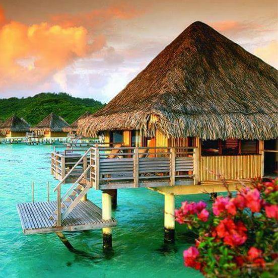 Image for Tropical Massage with ID of: 1734378