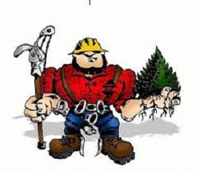 Image for Triad Tree Care with ID of: 1737933