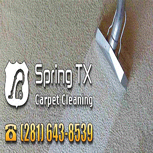 Image for Spring TX Carpet Cleaning with ID of: 1741455