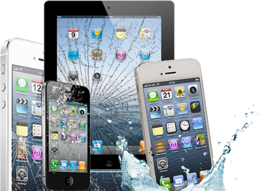 Image for Darwin Cellular with ID of: 1742322