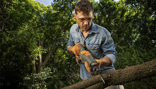 Image for M & M Tree Experts, Inc. with ID of: 1744189