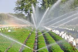 Image for Global Micro Irrigation Systems Market is Expected to Garner $8,321 Million by 2022 with ID of: 1744244