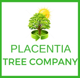 Image for Placentia Tree Compnay with ID of: 1744423