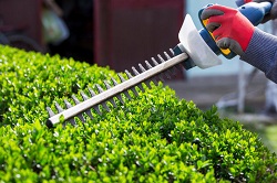 Image for BG Lawn Care with ID of: 1748391
