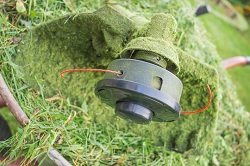 Image for BG Lawn Care with ID of: 1748394