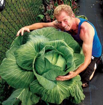 Image for FarmDaddy Inc. with ID of: 1750219
