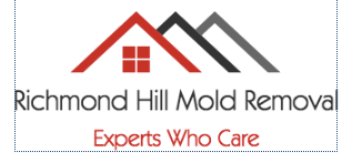 Image for Richmond Hill Mold Removal Experts with ID of: 1752019