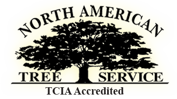 Image for North American Tree Service with ID of: 1752511