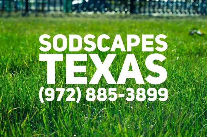 Image for SodScapes Texas with ID of: 1752597