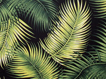 Image for Trendtex Fabrics & Tropical Paper Garden with ID of: 1753771