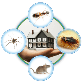 Image for Angie Pest Control with ID of: 1754104