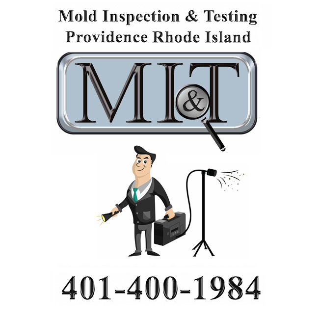 Image for Mold Inspection & Testing Providence RI with ID of: 1755593
