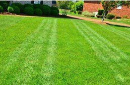Image for Charlotte Landscaping Designs with ID of: 1755987