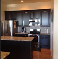 Image for Chameleon Cabinet Coatings with ID of: 1762841