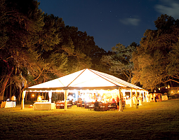 Image for Stellar Events with ID of: 1764183