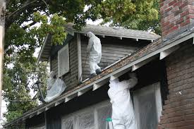 Image for Asbestos Shingle Guys with ID of: 1764808