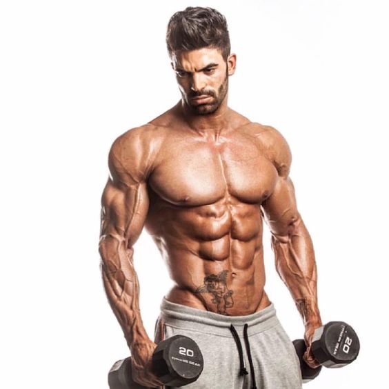 Image for http://guidemesupplements.com/no2-core/ with ID of: 1765266