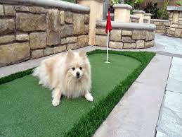 Image for Artificial Grass Guys with ID of: 1765307