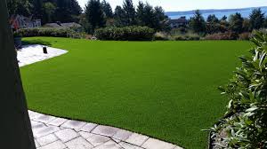 Image for Synthetic Grass Guys with ID of: 1765620
